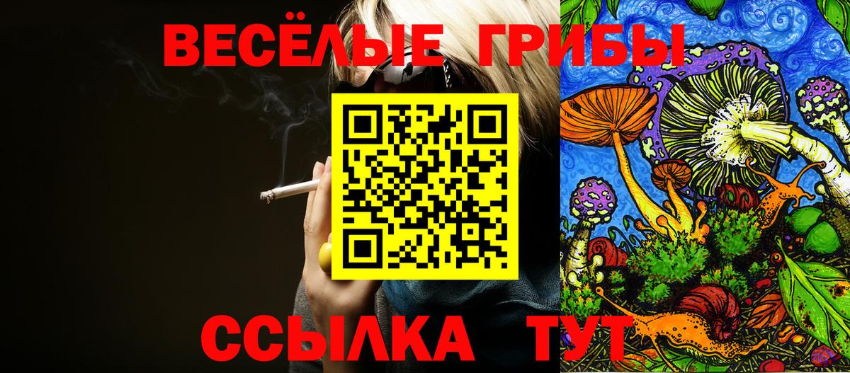 Галлюциногенные грибы Psilocybine cubensis  Вход с VPN  Белгород 